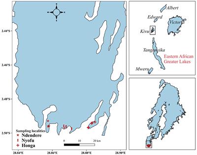Environmental impacts of tilapia fish cage aquaculture on water physico-chemical parameters of Lake Kivu, Democratic Republic of the Congo